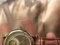 TISSOT 机械女士手表