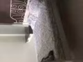 靠近文理地铁站附近有日租或者短期房出租，人少安静，不吵，