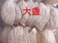 新加坡燕窩批發商、一手貨源、電話90540948