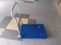 輕便摺疊式推車出售