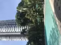 中巴鲁舒适公寓，错层式客厅，超大普通房，工人房
