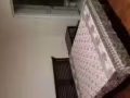 【芽笼31巷 主人房 出租 单人住900 】
