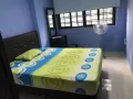 淡淡尼869A有普通房出租