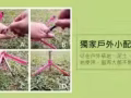 Magipea自拍杆，自拍不求人，旅行必備
