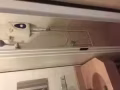 主人房出租，5分鐘達先驅地鐵站