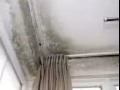 新加坡房屋漏水渗水机械高压保修