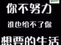 各种司机单子，薪水高加薪快，有驾照的加我详谈，微信：2444716166