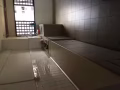 大牌443近地鐵巴士3分鐘  男搭房  乾淨 可煮