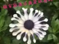 专门做公寓和洋房家庭清洁，3个小时起