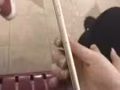 出售自用閒置6s加