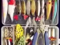 钓鱼者天堂