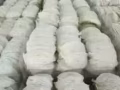 印尼  燕窩廠家直銷燕窩