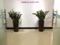 海空运白菜价，中-新专线（双清门到门）400RMB/立方，13711077030
