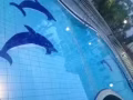 公寓普通房 850