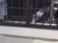 裕廊東普通房出租