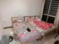 近novena balestier 尋找一名女室友 500包完水電網
