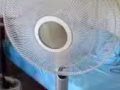 房子到期，所有物品便宜賣
