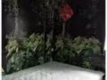 淡滨尼34街   地铁站 。单间出租