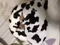 衣服箱子背包等