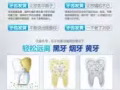 碧缇福美牙仪