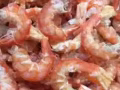 出售國內海鮮乾貨