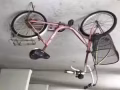 自行车