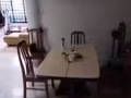 淡賓尼 24 街床位出租，男，女搭房，包水電網，$250