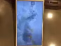 Iphone 6S. plus64G
