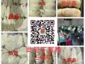 新加坡批发 零售 纯天然燕窝。来自印尼当地燕屋的燕窝，一手货源，手工清洗，不刷胶