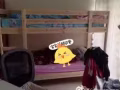 大巴窑地铁公寓搭房 单间便宜租