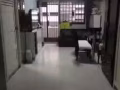 丹戎巴葛床位出租