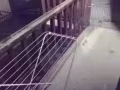 实龙岗主人房出租