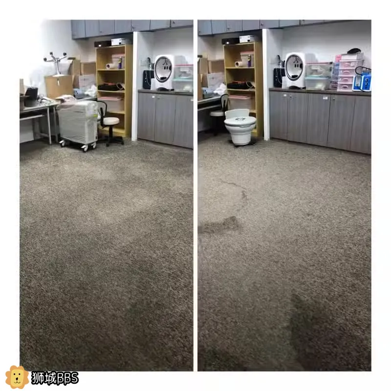 专业办公室地毯清洗 窗帘清洗(上门拆 洗 安装)